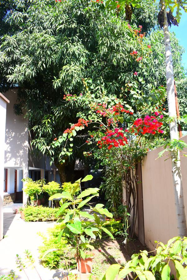 Benitez Hosteria Calilegua Ngoại thất bức ảnh